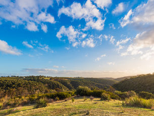 Rolling green hills under a bright blue sky with scattered clouds at sunset. Lush vegetation covers the landscape, creating a serene scene.