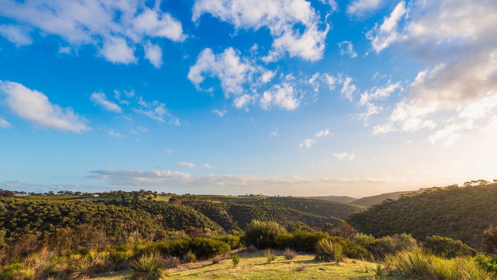 Rolling green hills under a bright blue sky with scattered clouds at sunset. Lush vegetation covers the landscape, creating a serene scene.