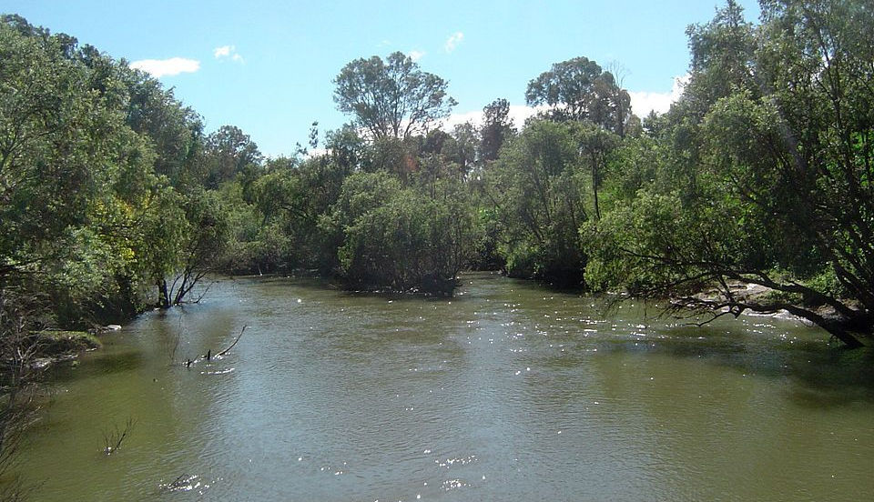 Moving to series: Becoming a real estate agent in Logan, Queensland